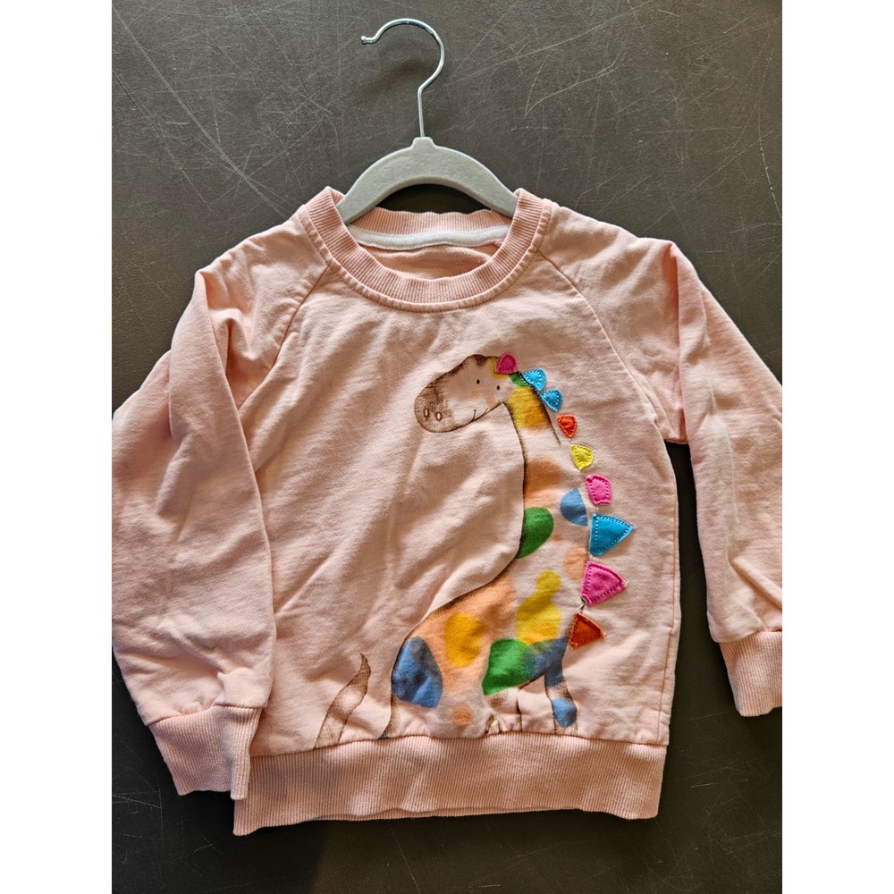 Kids Toddler Pink Dinosaur Sweatshirt 2T Approx Colorful Applique Crewneck